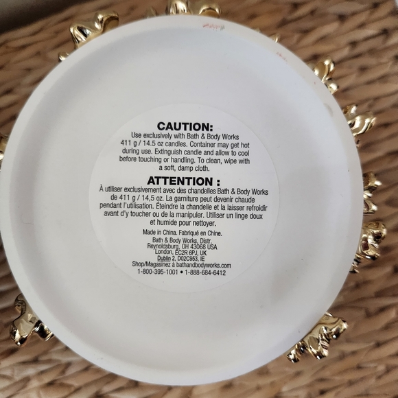 🌰New Bath and Body Works Squirrel Fall 3 Wick Candle Holder & Candle Decor 2024 - Picture 9 of 10